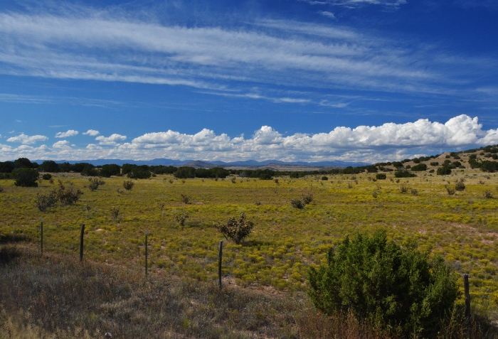 Bonanza Creek Road